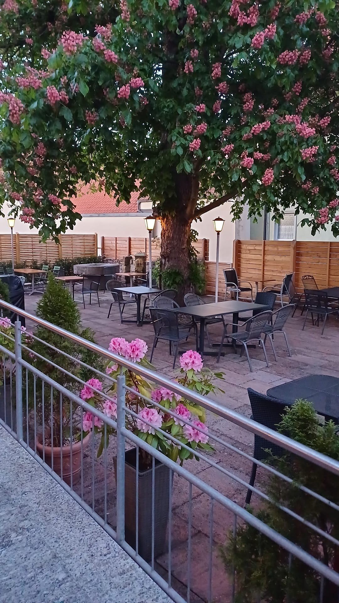 Terrasse mit Blumen in der Dämmerung